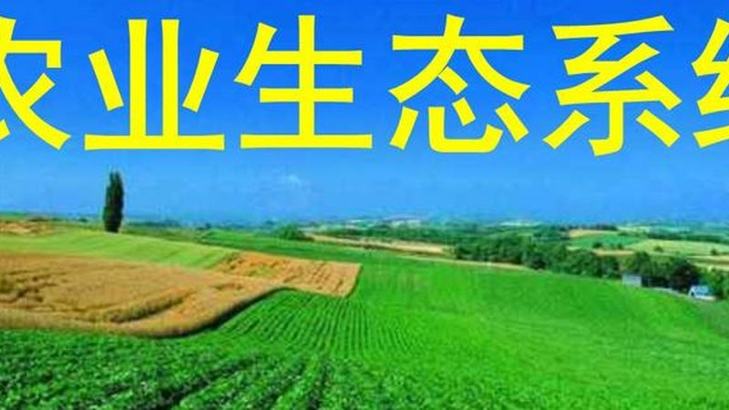 水培水果种植设备：价格与参数解析