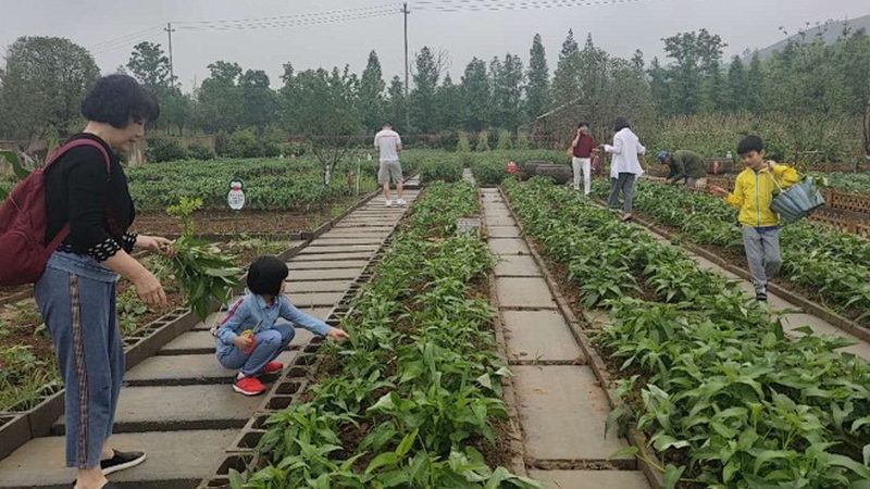 农业项目风险评估：如何科学评估项目风险，规避潜在陷阱
