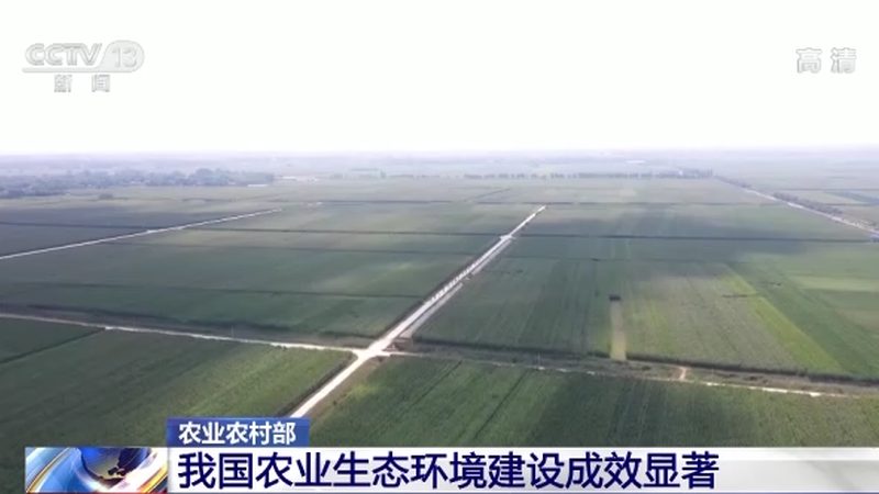绿色食品公司十大品牌排行背后的行业逻辑