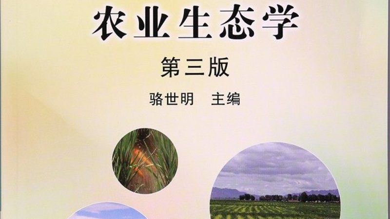 有机蔬菜价格构成解析：揭秘其价值背后的秘密