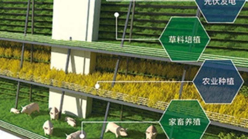 大棚蔬菜种植，如何打造高效学习网站？**