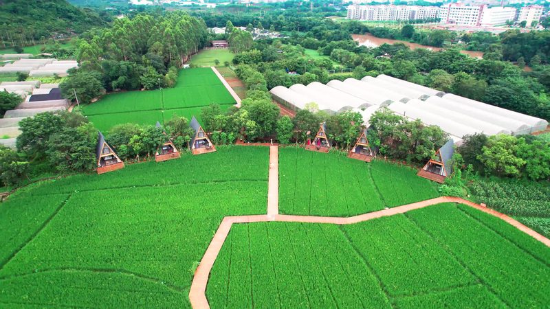 农业产业园建设：常用规格参数解析**