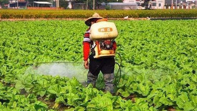 合作社注册材料章程模板：注册流程及要点解析