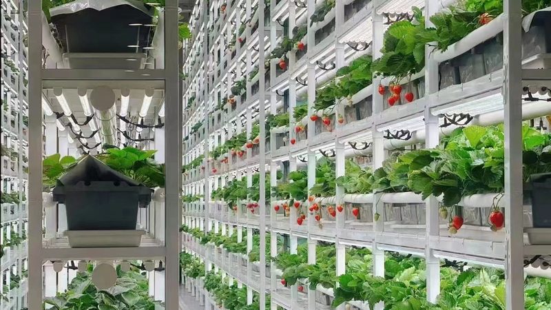 智能粮食种植机械化设备：参数解析与选型逻辑