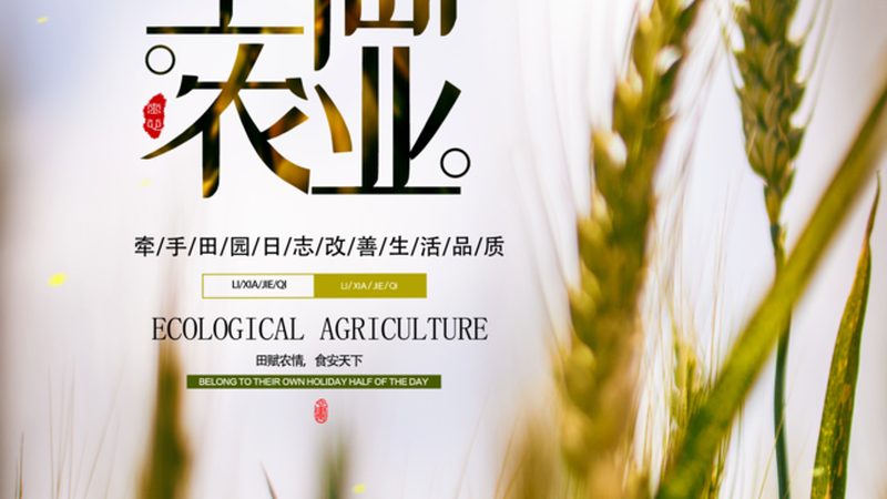 生态农业加盟店扶持政策解读：助力绿色农业发展**
